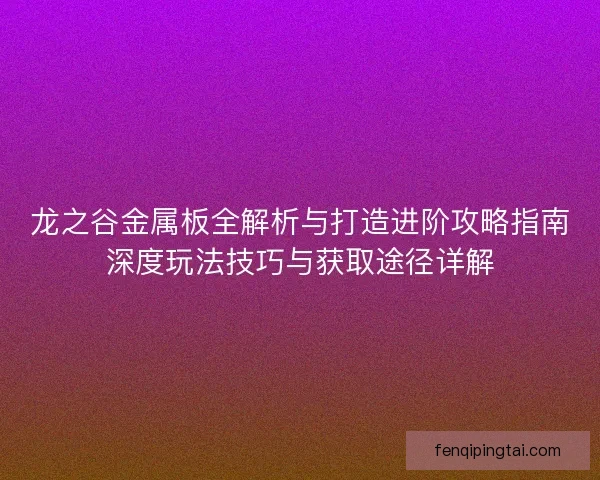 龙之谷金属板全解析与打造进阶攻略指南深度玩法技巧与获取途径详解